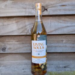 Living Souls - 10 Year Old 'Lagmore'