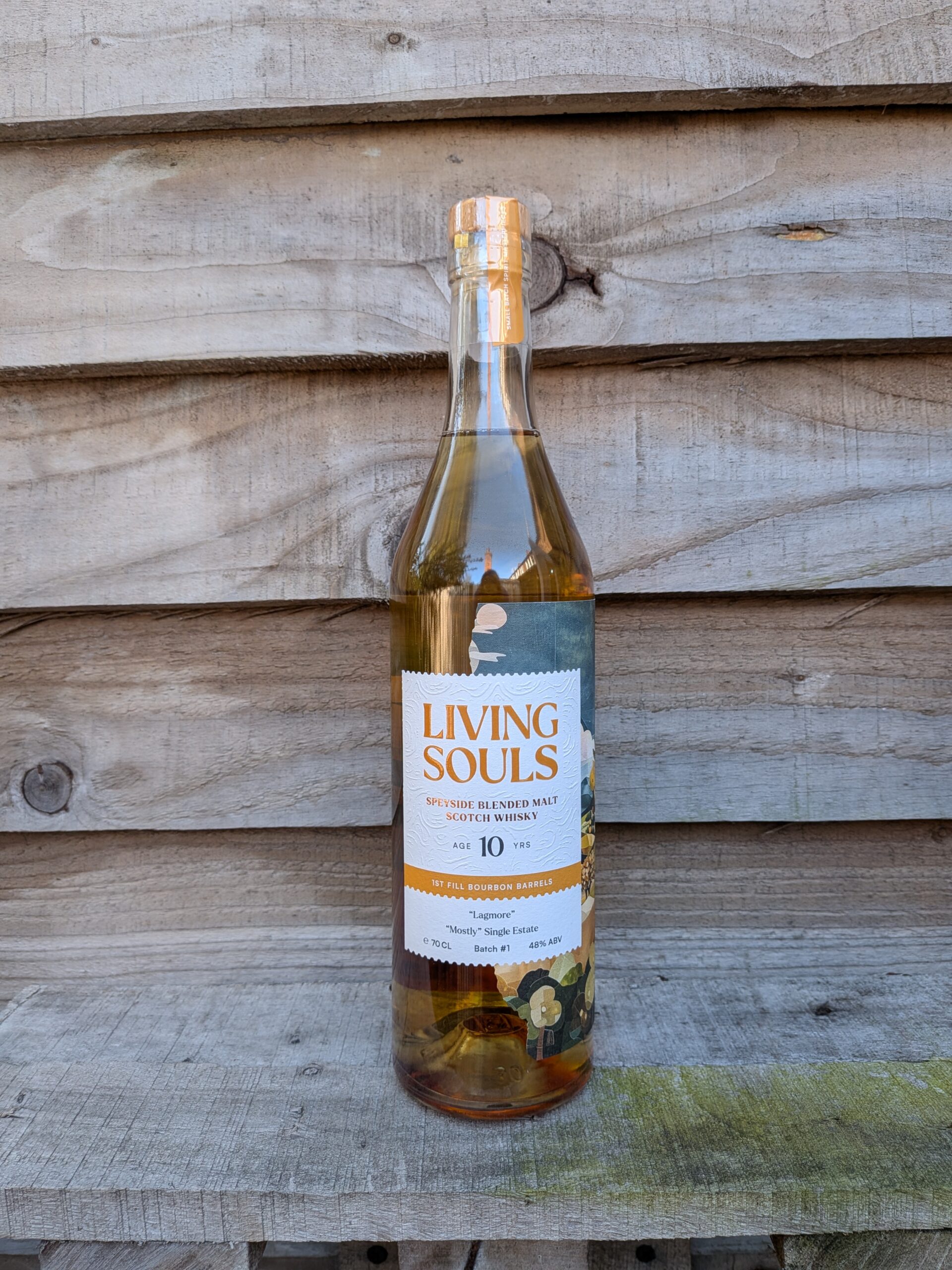 Living Souls - 10 Year Old 'Lagmore'